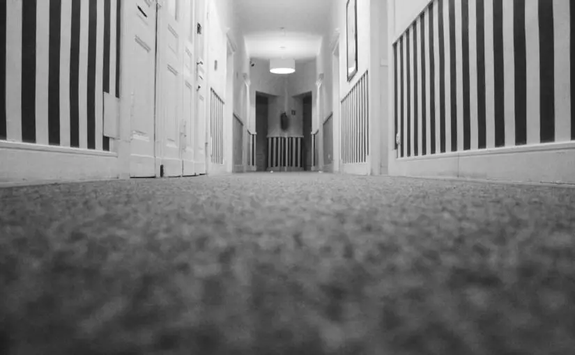 Boosting Property Appeal with Clean and Fresh Carpets