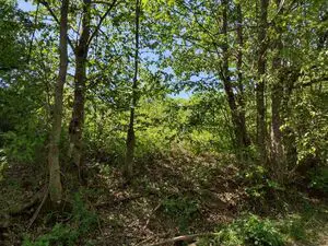 Large plot with ruin and spring nearby