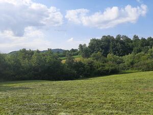 Sale of land - Tijanje village + water mill