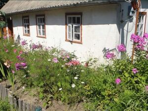 Traditional smallholding for sale in Kyiv region!