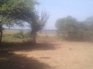 Anuradhapura -  Nuwara Wewa Lake waterfront land for sale