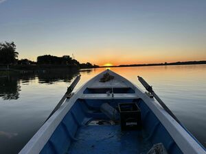 BARGAIN. Bulgarian house at the bank of DANUBE in OSTROV 