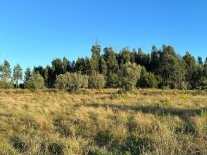 🌿 EXCELLENT LAND WITH CONSTRUCTION POTENTIAL – PRIME OPPORT