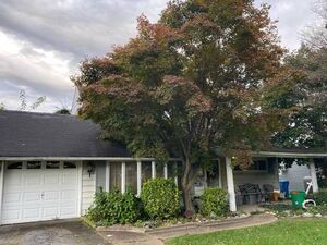 House for rent now 