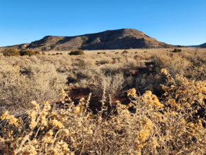2-Acre Lot with Direct Access and Stunning Mesa Views in NM 