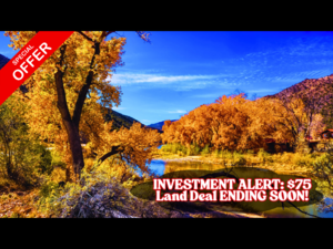 Investors are stunned by 1.08 acres at a $75/down