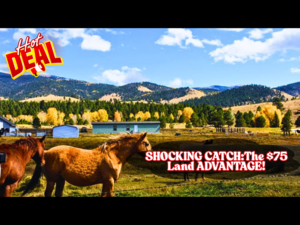 Hidden Catch in 1.06 Acres for JUST $75/down - Grab it Now