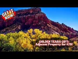 Unbelievable Adjacent Land Deal for Retirees In Just $78