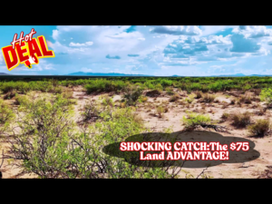 Hidden Catch in 1.06 Acres for JUST $75/down - Grab it Now