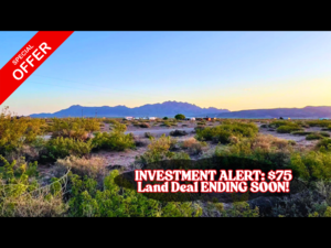 Investors are stunned by 1.08 acres at a $75/down