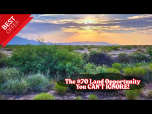 Do Not Ignore This 0.54 Acres Lot. Buy Now For Just $70/down