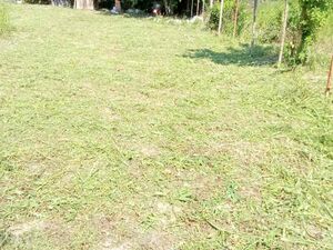 Plot for sale in Krnjaca-Belgrade