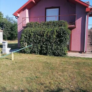 House for sale Velika Plana-Lozovik