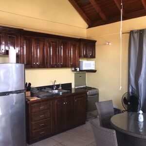 Apartment In Roseau For Rent