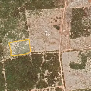 Zanzibar Land For Sale - Makanduchi Region | 1,436 SQM