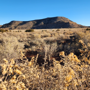 2-Acre Lot with Direct Access and Stunning Mesa Views in NM 