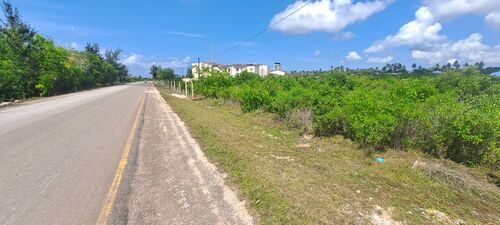 Main Road Side Plot