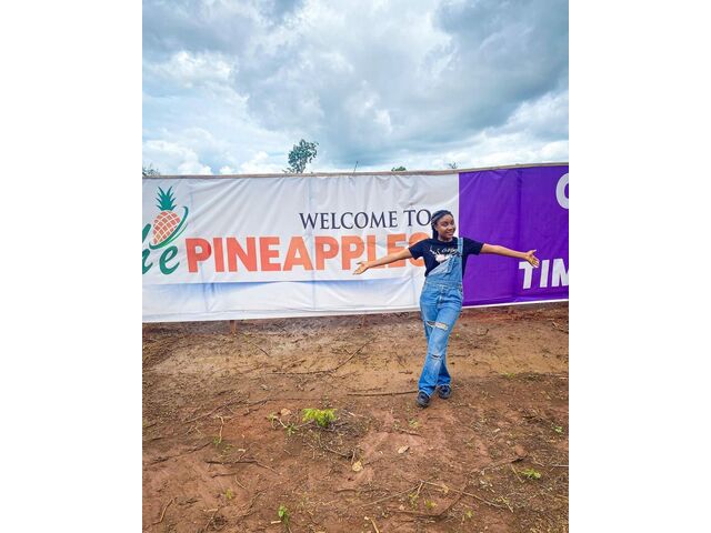 The Pineapples